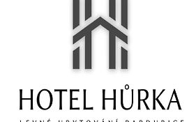 Hotel Hůrka Pardubice